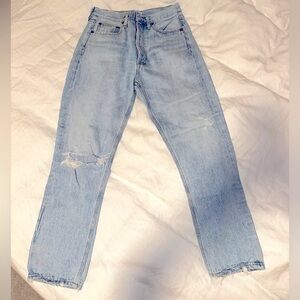 Agolde Riley High Rise Straight Crop Jean in Shatter